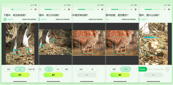 “野朋友计划”小程序上线开启全民参与生物多样性保护新玩法(图2)