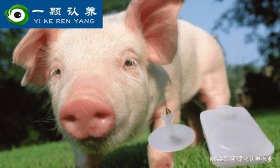 一颗认养——可视化认养农业小程序如何实现溯源问题？(图4)