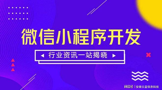 安徽云蓝信息科技有限公司：微信小程序开发需要哪些条件？(图4)