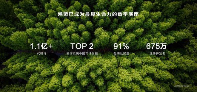 越过山丘鸿蒙生态站上新起点！(图10)