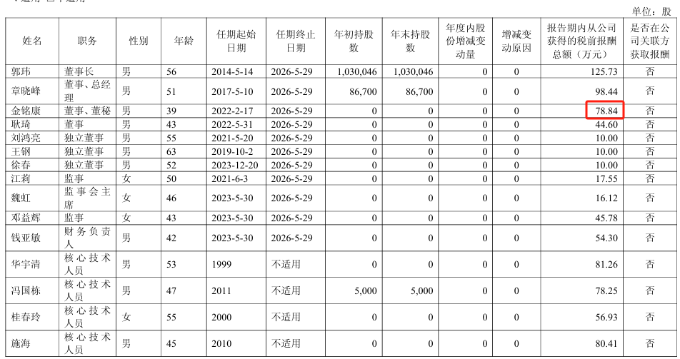 新致软件2024年净利809万减少88%：董秘金铭康薪酬79万涨薪2万(图1)