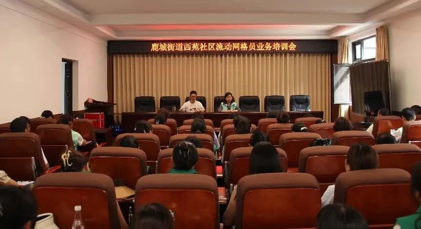 鹿城街道凝“新”共建同“新”共治暖享(图1)