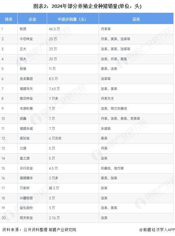 2025年中国生猪养殖行业上游种猪育种市场分析2024年TOP种猪企业合计超5万头【组图】(图2)