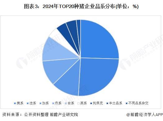 2025年中国生猪养殖行业上游种猪育种市场分析2024年TOP种猪企业合计超5万头【组图】(图3)