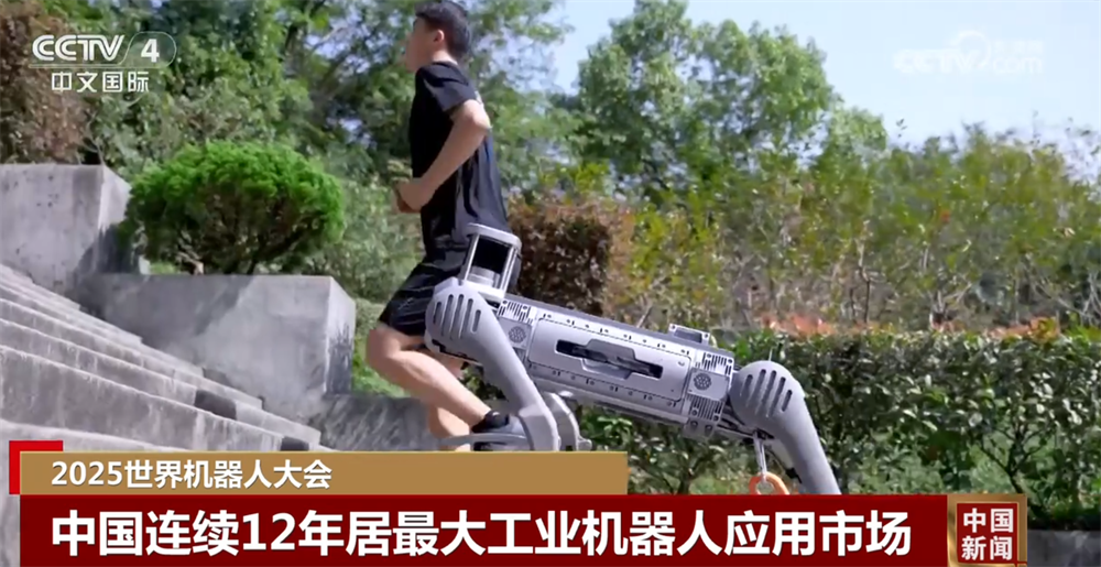 透过数据看跨越式发展中国连续12年居最大工业机器人应用市场(图3)